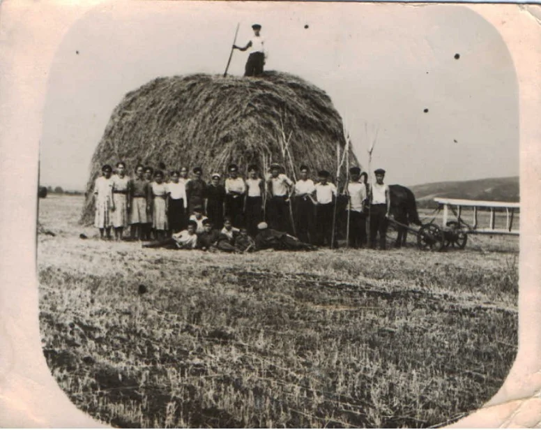 Сенокос 1959.webp