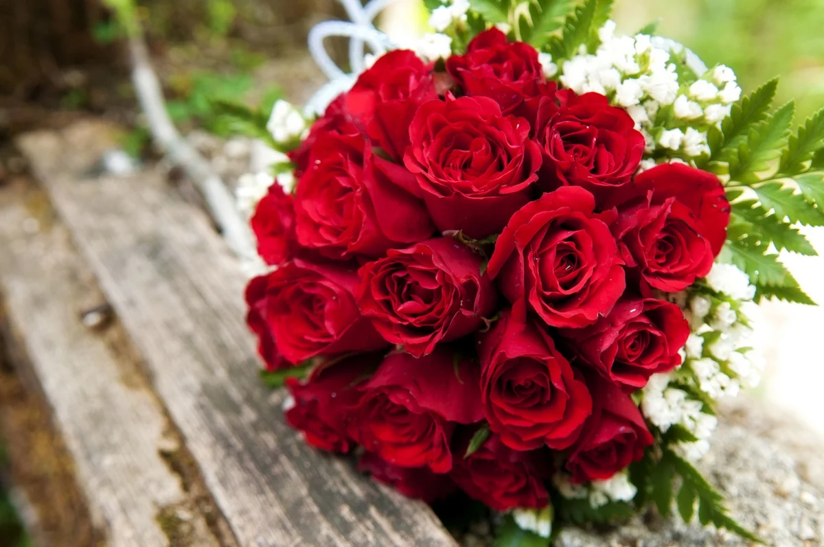 serveimage-6 (1).webp