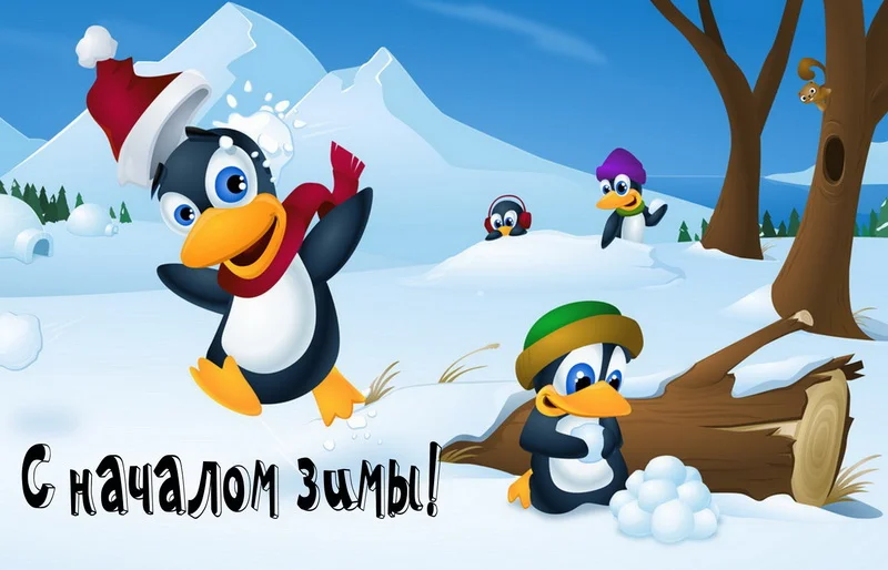 serveimage-7 (2).webp