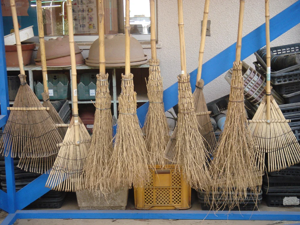 Several_brooms_for_sale_in_Japan.webp