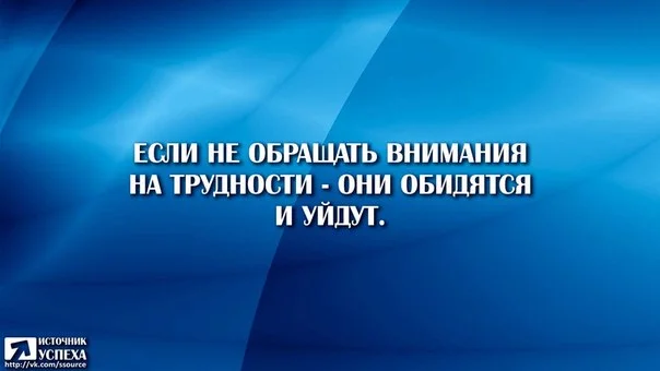 Sg429jWlKZ4.webp