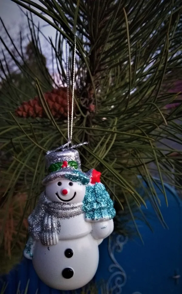 шарик IMG_20171227_164218 970.webp