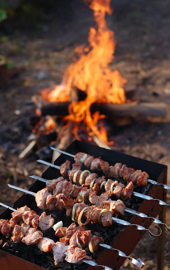 shashlik1.jpg