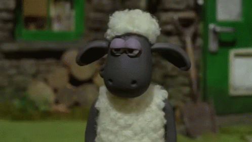 shaun-the-sheep-i-told-you-so.gif