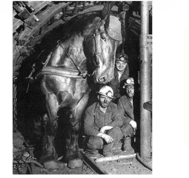 Шахтерская лошадь.webp