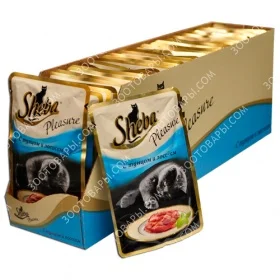 sheba_pleasure_TLm.webp