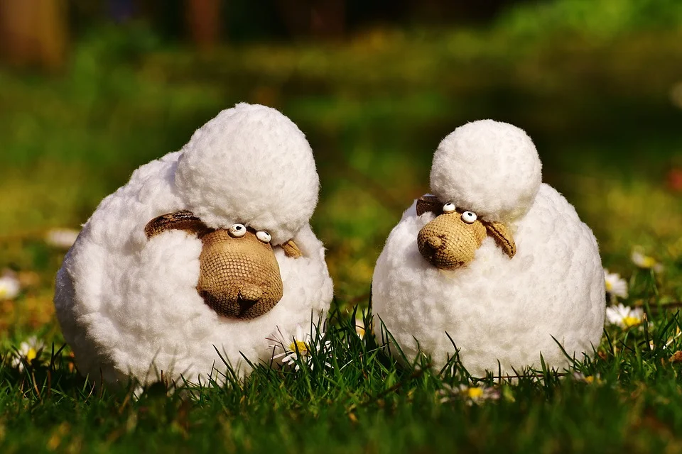 sheep-2173880_960_720.jpg