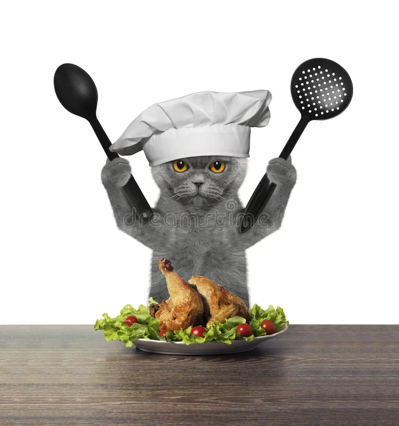 шеф-повар-кота-по-готав-ивает-цып-енка-82848225.webp