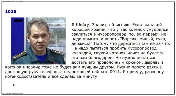 Шойгу-котенкодоставатель-473272.webp