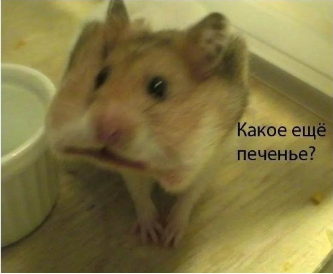 siava.ru_Снимок 33.webp