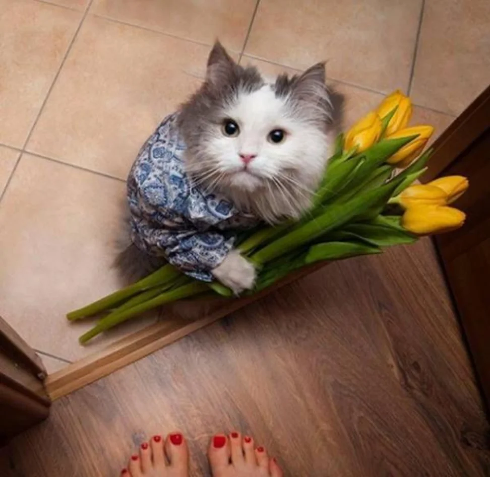 siava.ru_Снимок 35.webp