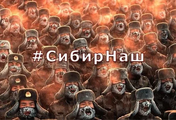 сибирнаш.webp