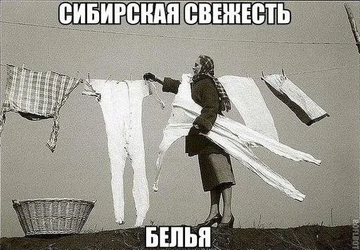 sibirskaya-svezhest-belya-list.webp