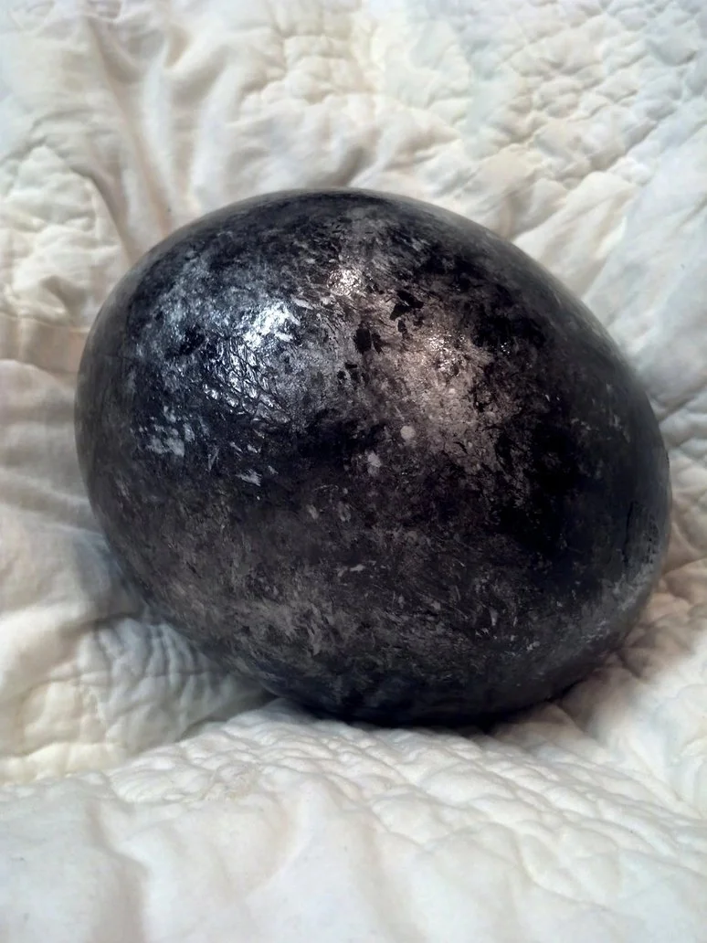 silver_dragon_egg_by_black_dragon_blood-d81alpw.webp