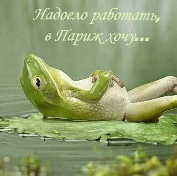 sjvVeiIfvWU.webp