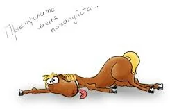 скачанные файлы-1.webp