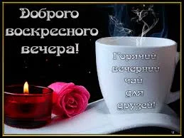 скачанные файлы (1).webp