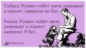 скачанные файлы (2).webp