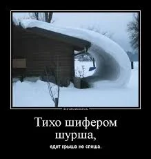 скачанные файлы (2).webp