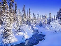 скачанные файлы (3).webp