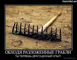 скачанные файлы (4).webp