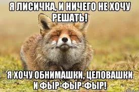 скачанные файлы (4).webp