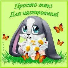 скачанные файлы (5).webp