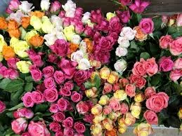 скачанные файлы (7).webp