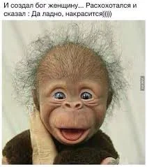 скачанные файлы.webp