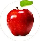 скачанные файлы.webp