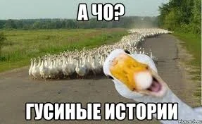 скачанные файлы.webp