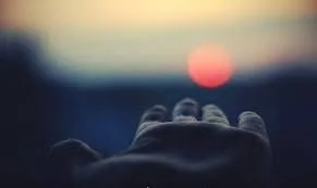 скачанные файлы.webp