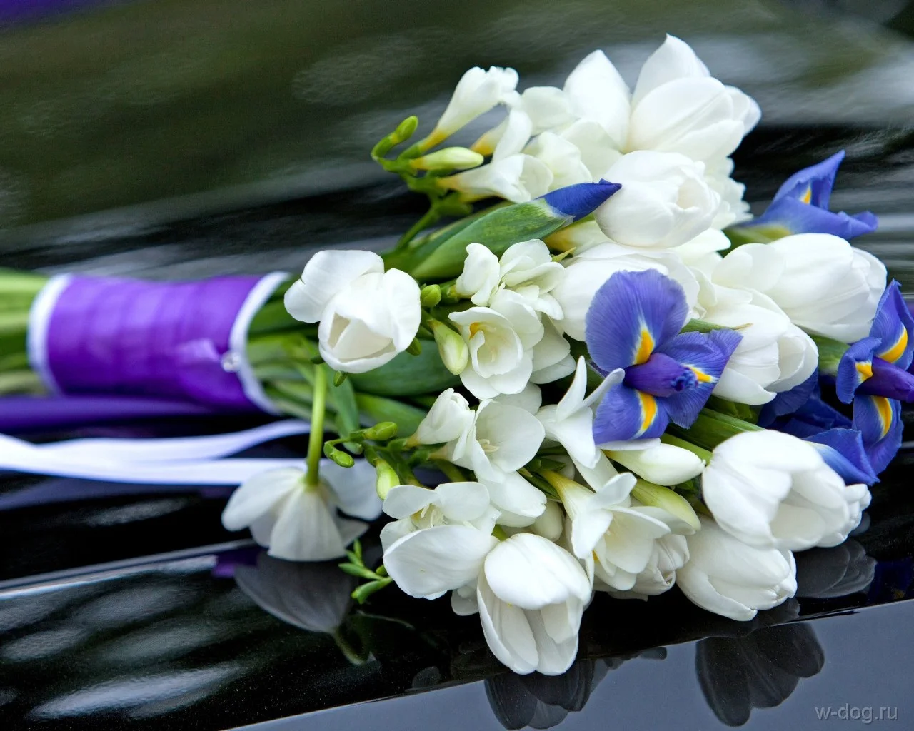 скачанные файлы.webp