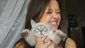скачанные файлы.webp