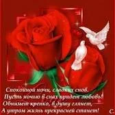 скачанные файлы.webp