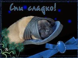 скачанные файлы.webp