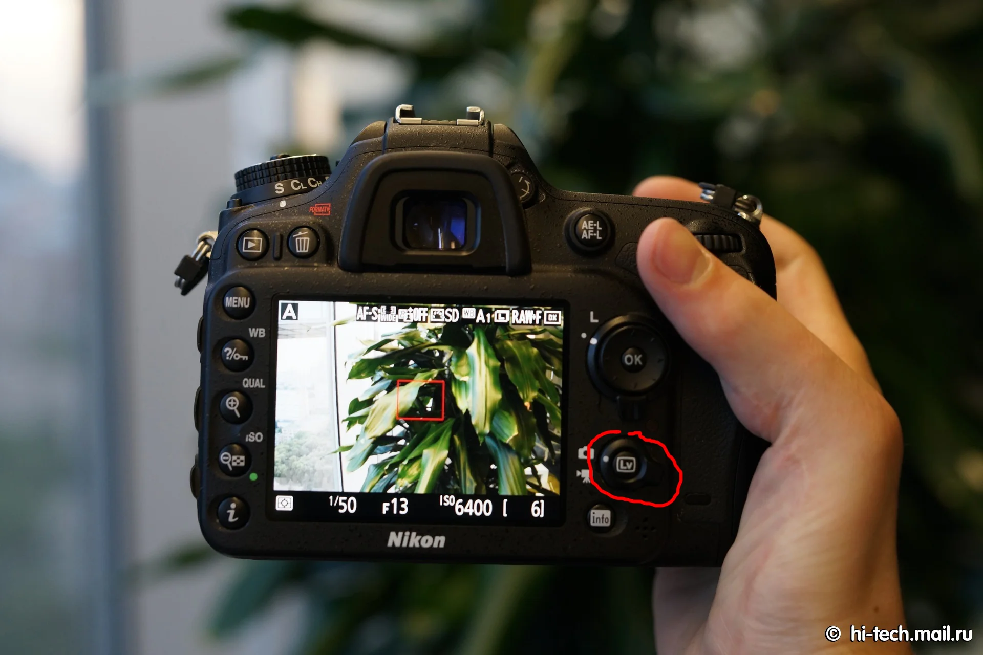 скачанные файлы.webp