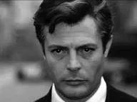 скачанные файлы.webp