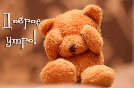 скачанные файлы.webp