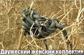 скачанные файлы.webp