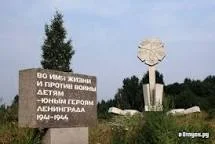 скачанные файлы.webp