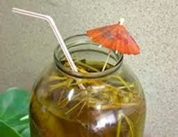 скачанные файлы.webp