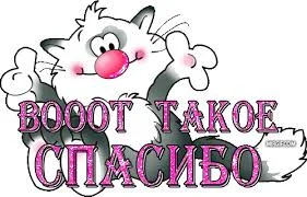 скачанные файлы.webp