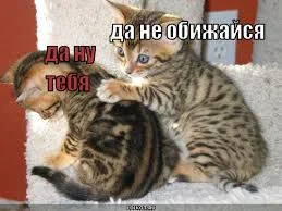 скачанные файлы.webp