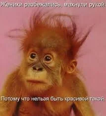 скачанные файлы.webp