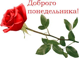 скачанные файлы.webp