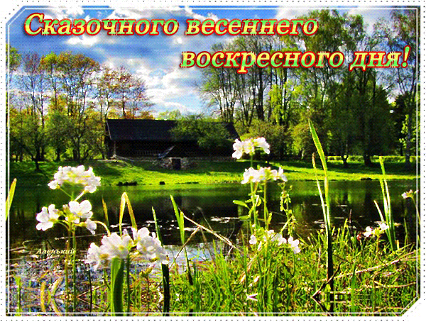 Сказочного-весеннего-воскресного-дня!.gif