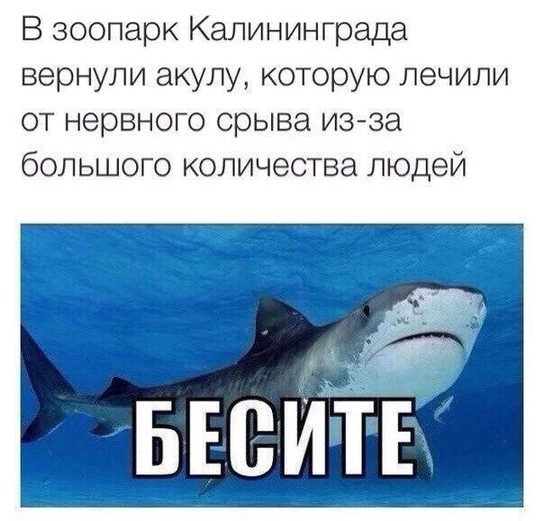 SkCGuhcYVZI.webp