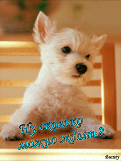 сколько можно ждать.gif