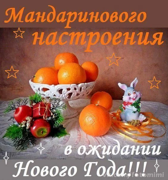 скоро НГ.webp